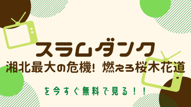 動画 カンナさん大成功です 日本版 をフルで無料視聴する方法と見逃し配信サイト 今すぐ無料で見る